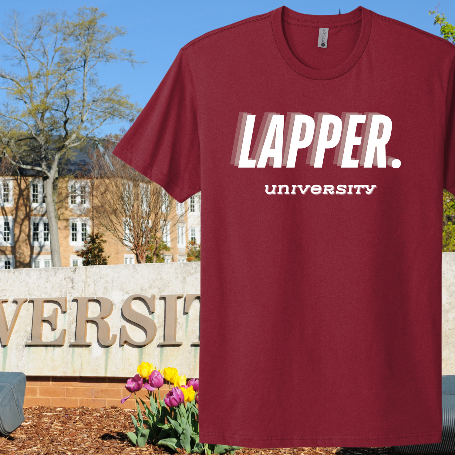 College & University
